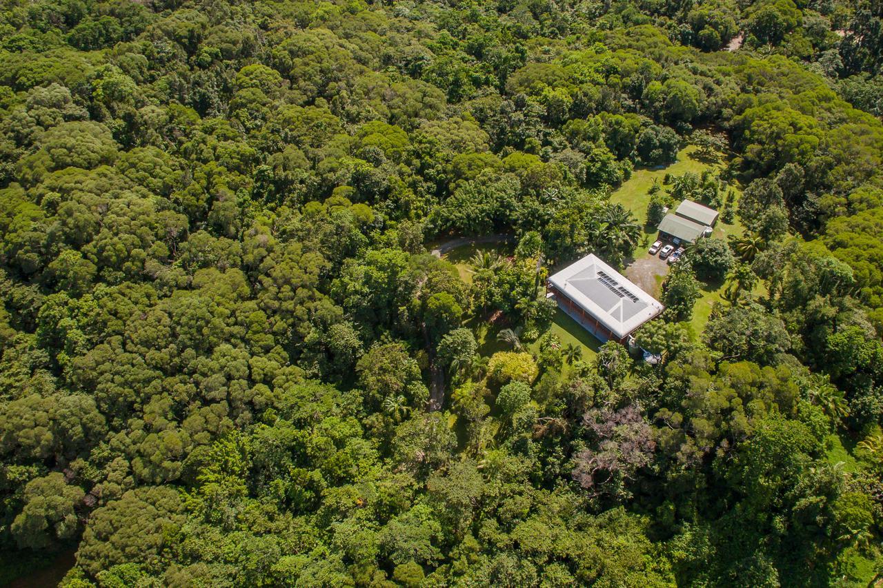 Daintree Manor B&B Exterior photo