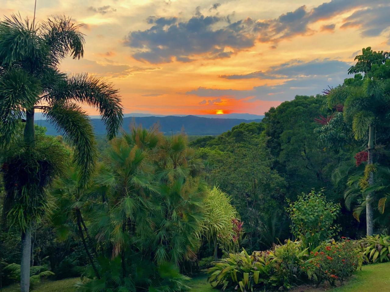 Daintree Manor B&B Exterior photo