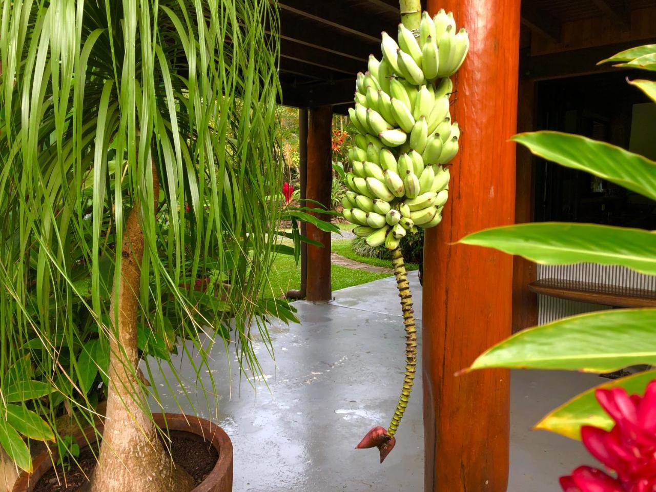 Daintree Manor B&B Exterior photo