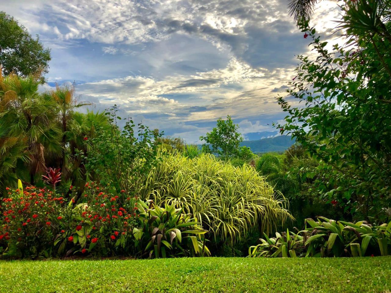 Daintree Manor B&B Exterior photo