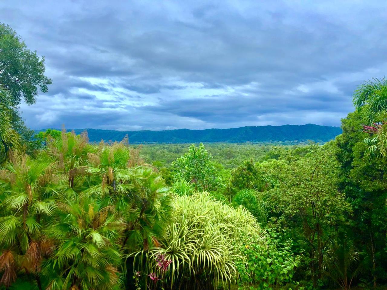 Daintree Manor B&B Exterior photo